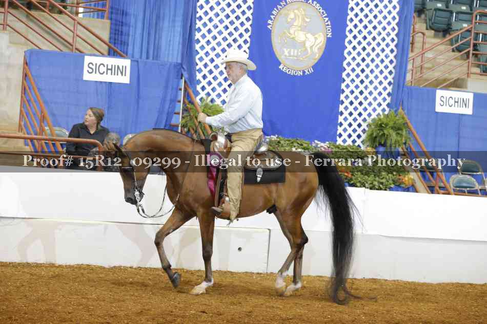 Proof Number 15R12_09299