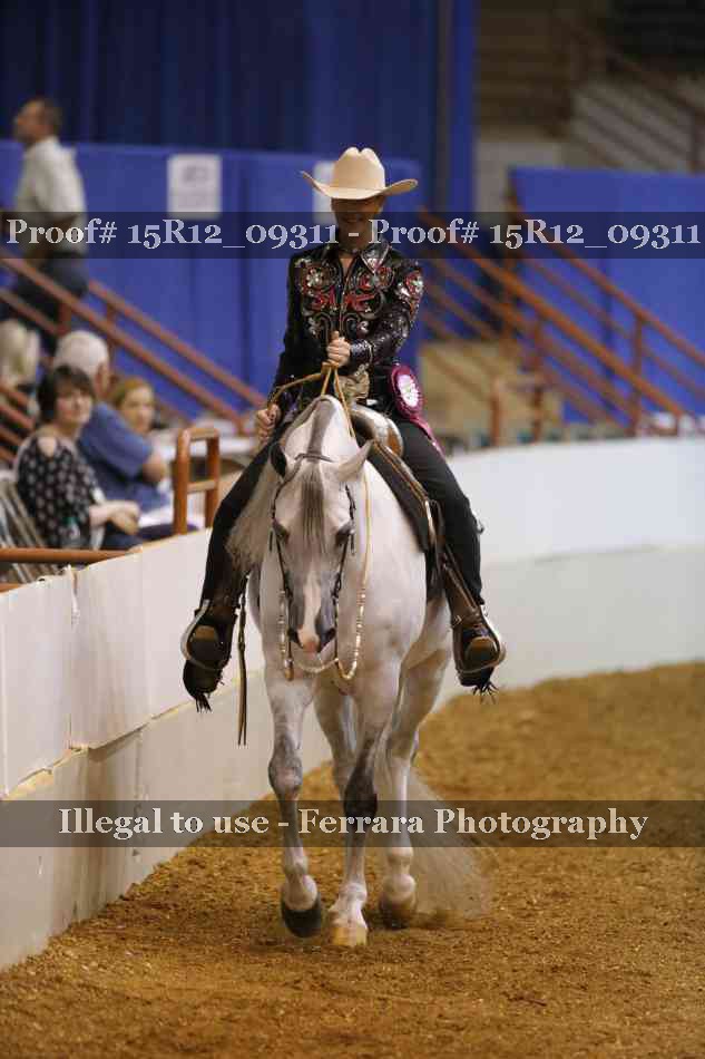 Proof Number 15R12_09311