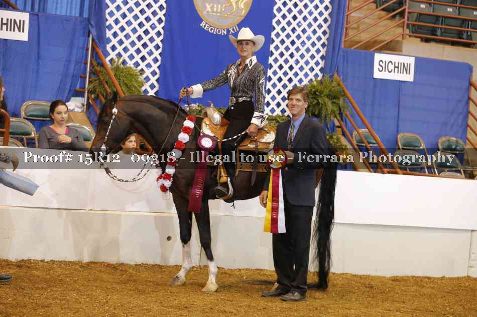 Proof Number 15R12_09318