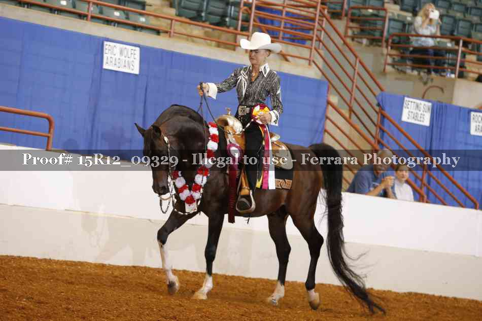 Proof Number 15R12_09329