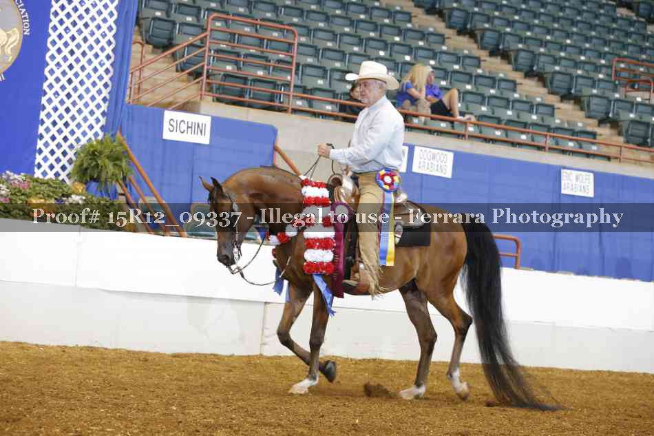 Proof Number 15R12_09337