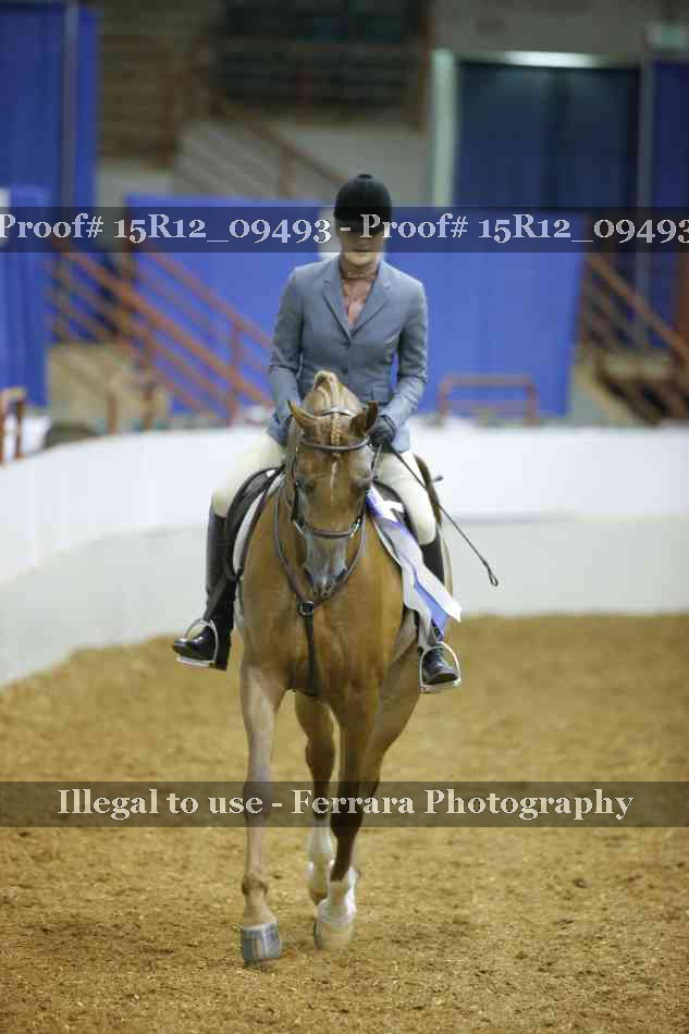 Proof Number 15R12_09493