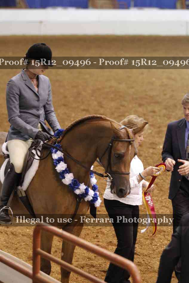 Proof Number 15R12_09496