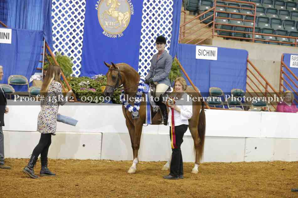 Proof Number 15R12_09499