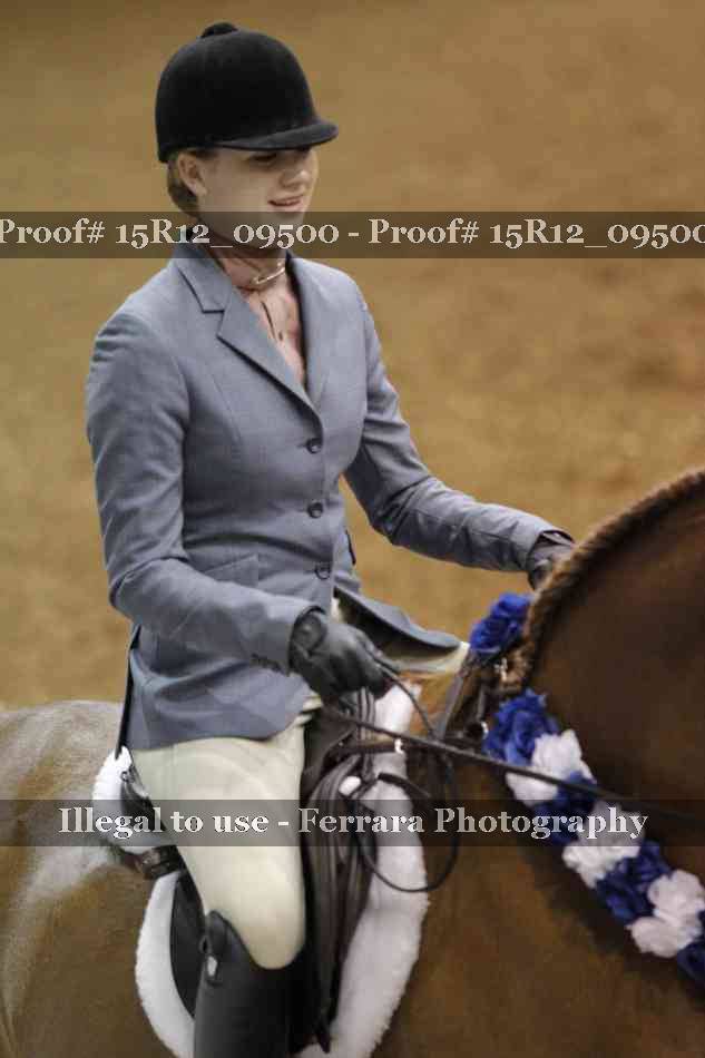 Proof Number 15R12_09500