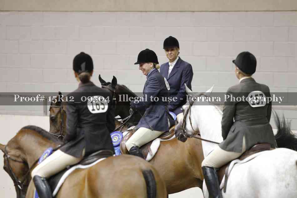 Proof Number 15R12_09504