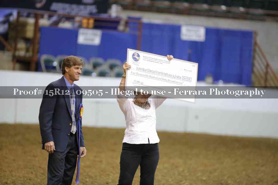 Proof Number 15R12_09505