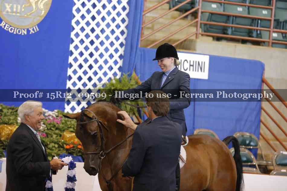 Proof Number 15R12_09509