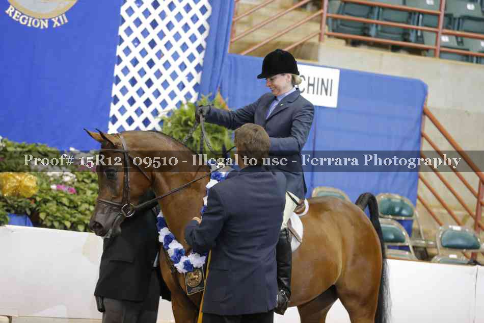 Proof Number 15R12_09510