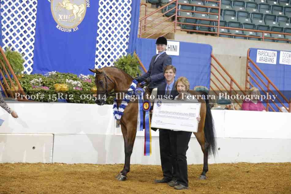 Proof Number 15R12_09514
