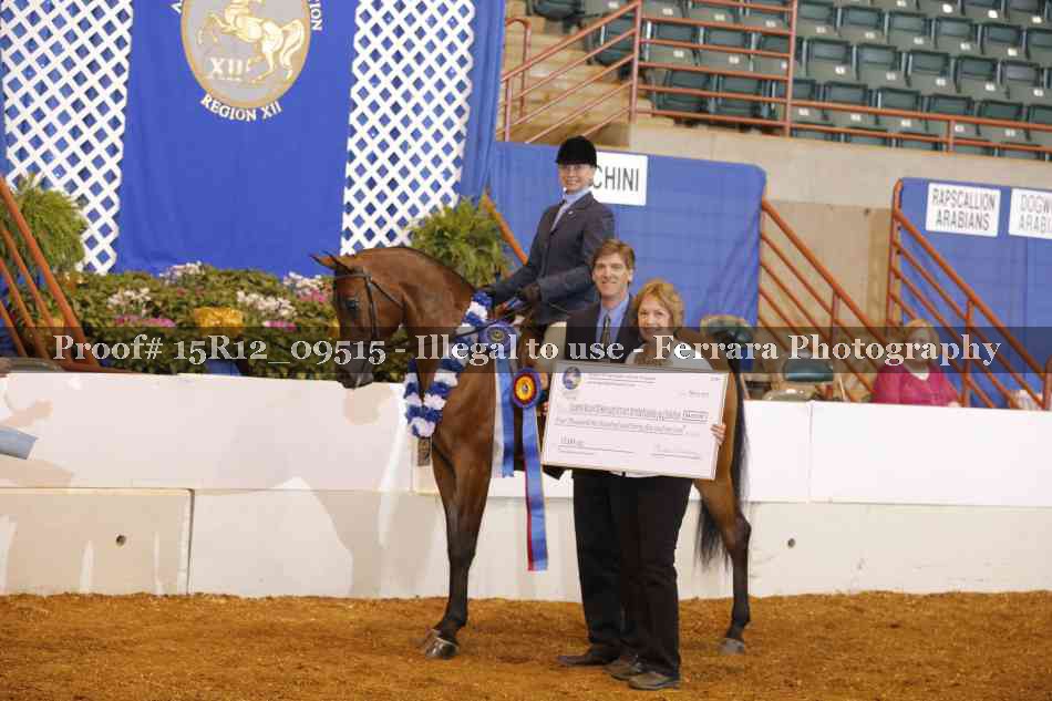 Proof Number 15R12_09515