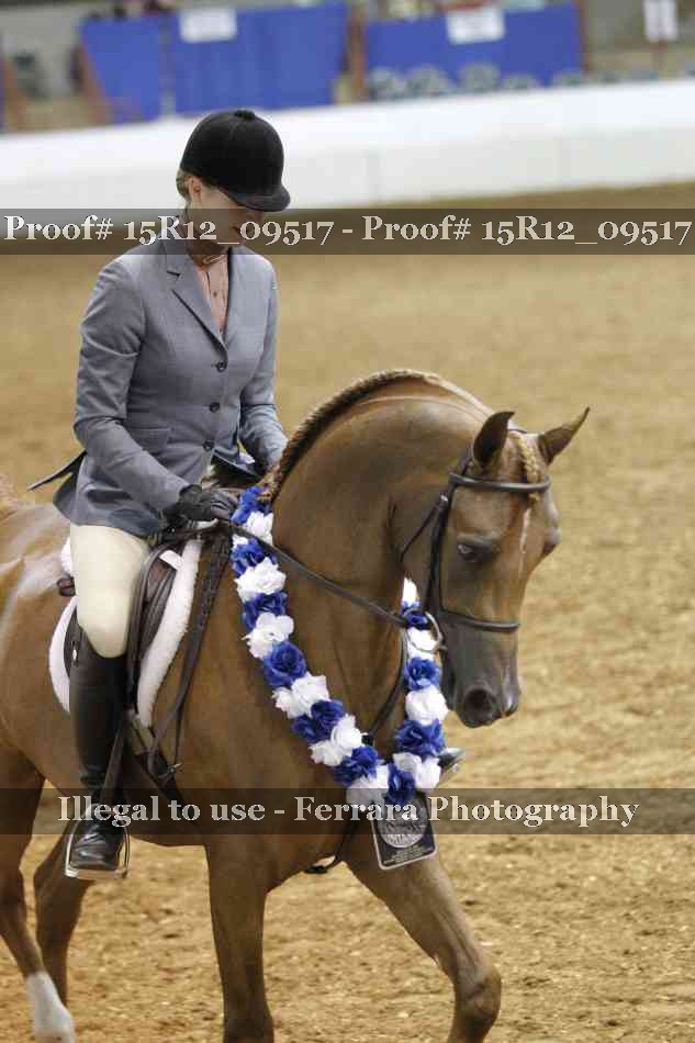 Proof Number 15R12_09517