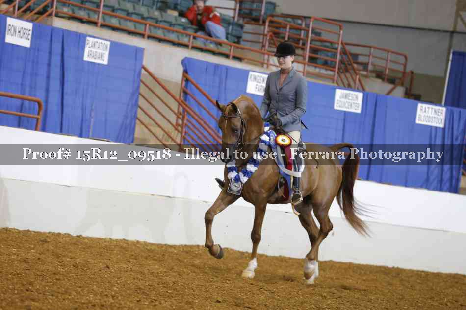 Proof Number 15R12_09518