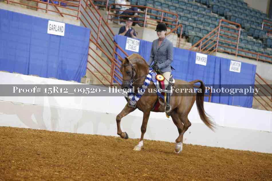 Proof Number 15R12_09520