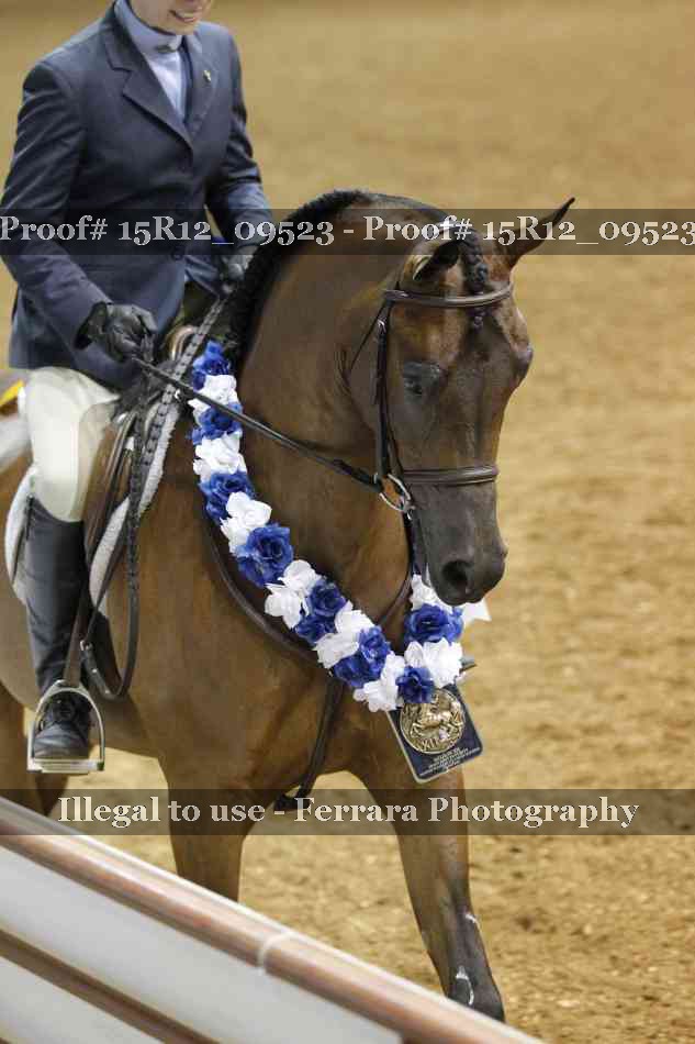 Proof Number 15R12_09523