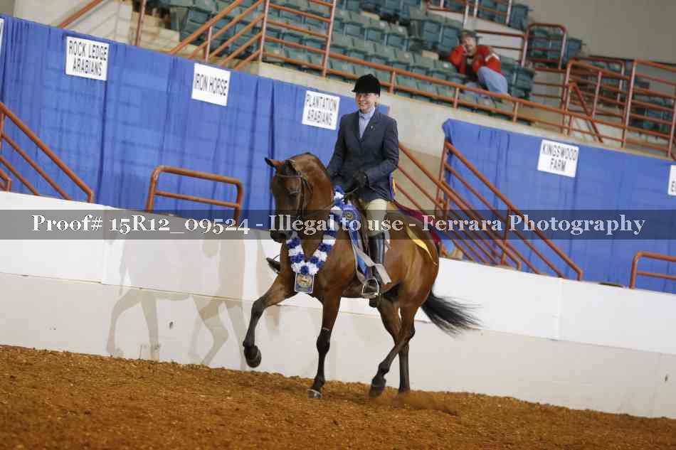 Proof Number 15R12_09524