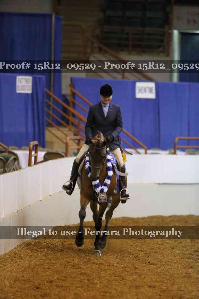 Proof Number 15R12_09529