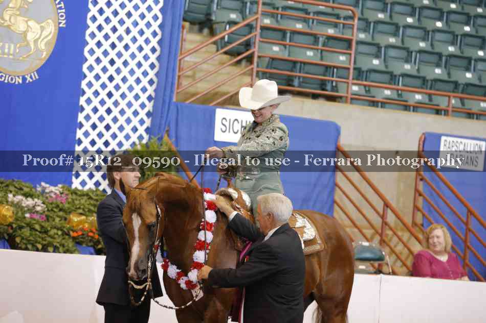 Proof Number 15R12_09590