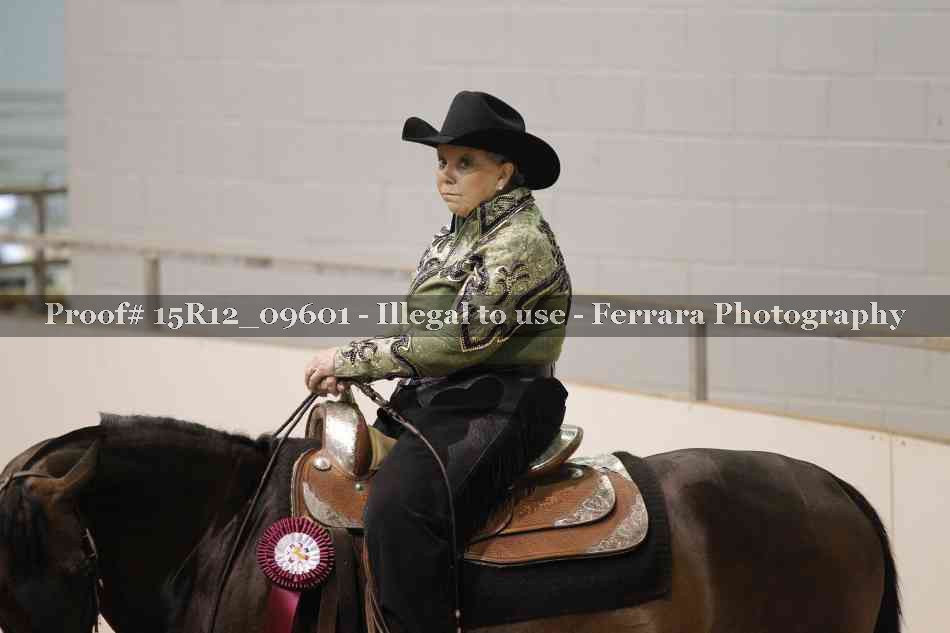 Proof Number 15R12_09601