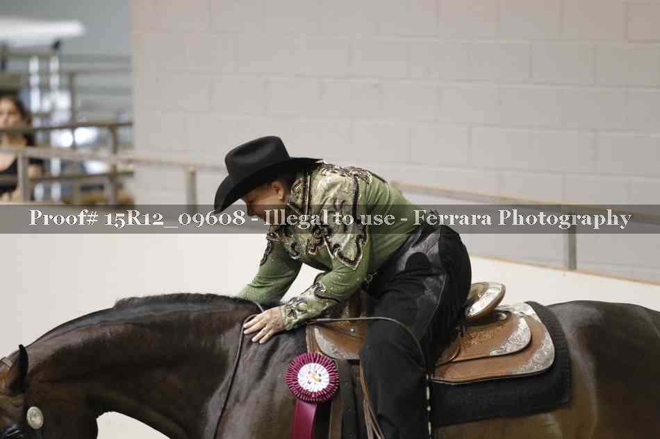 Proof Number 15R12_09608