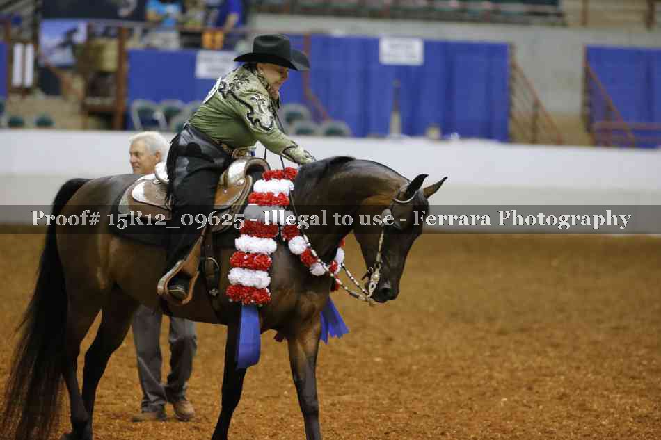 Proof Number 15R12_09625