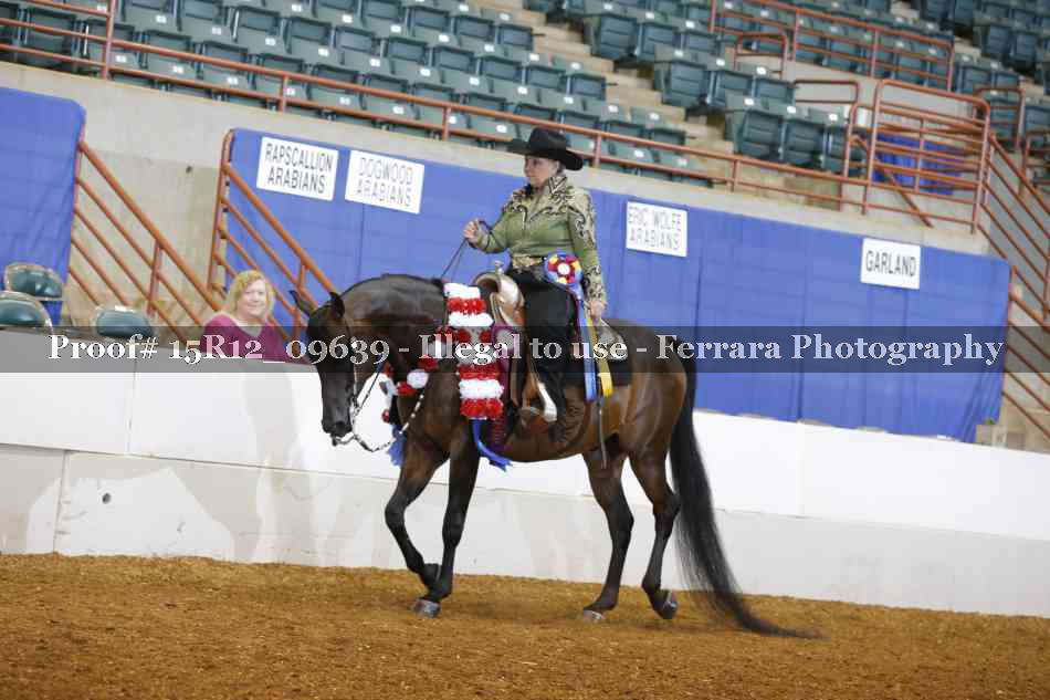 Proof Number 15R12_09639