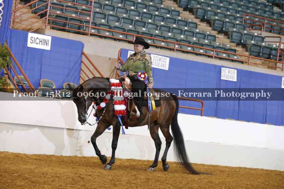 Proof Number 15R12_09640