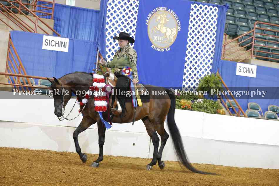 Proof Number 15R12_09646