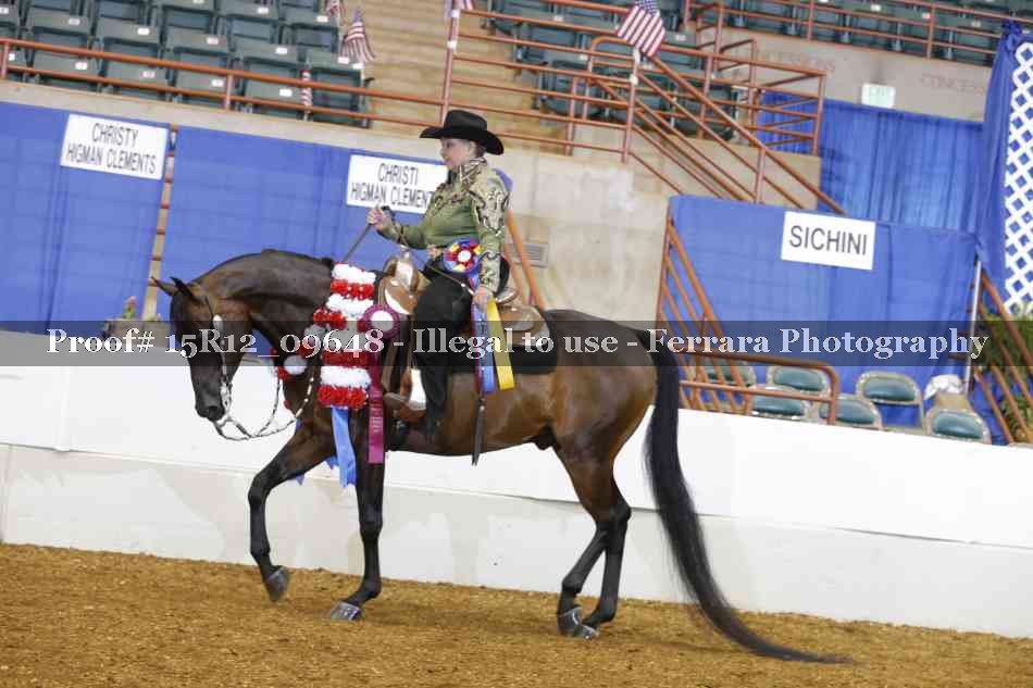 Proof Number 15R12_09648