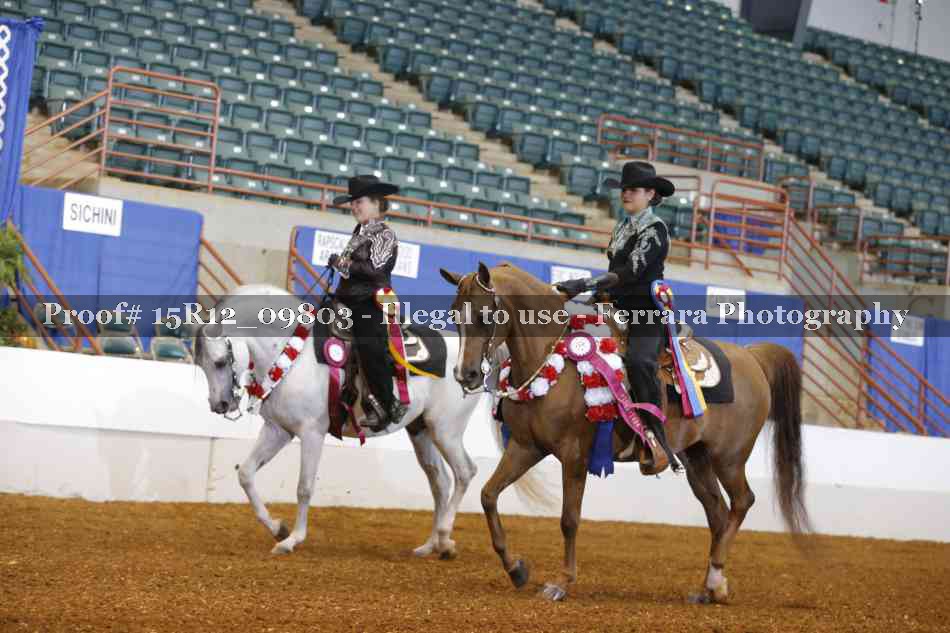 Proof Number 15R12_09803