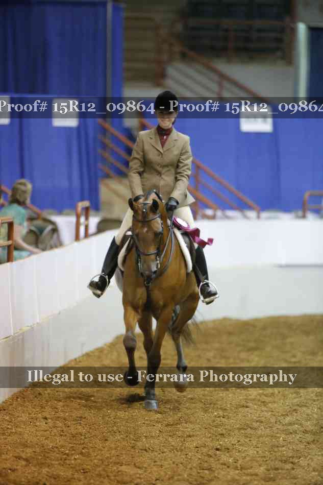 Proof Number 15R12_09864