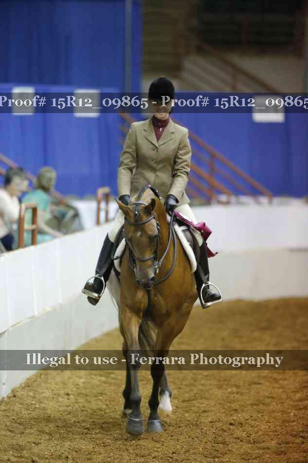 Proof Number 15R12_09865