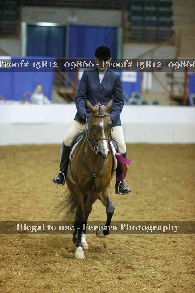 Proof Number 15R12_09866