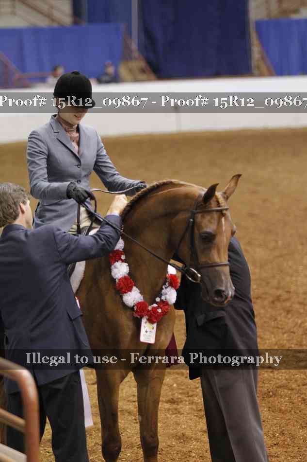 Proof Number 15R12_09867