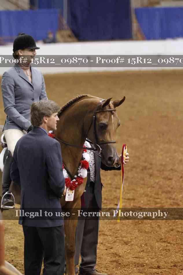 Proof Number 15R12_09870
