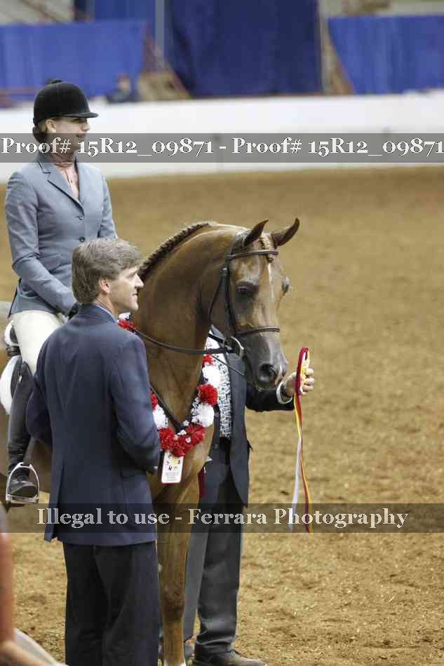 Proof Number 15R12_09871