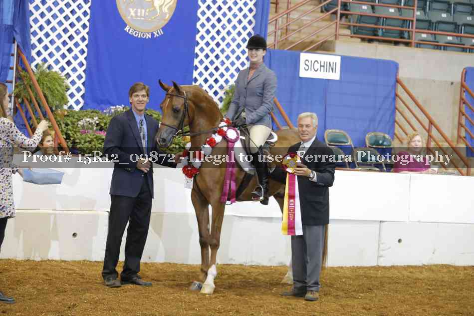 Proof Number 15R12_09872