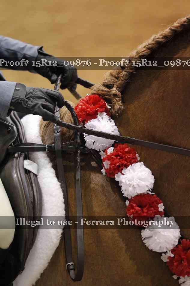 Proof Number 15R12_09876