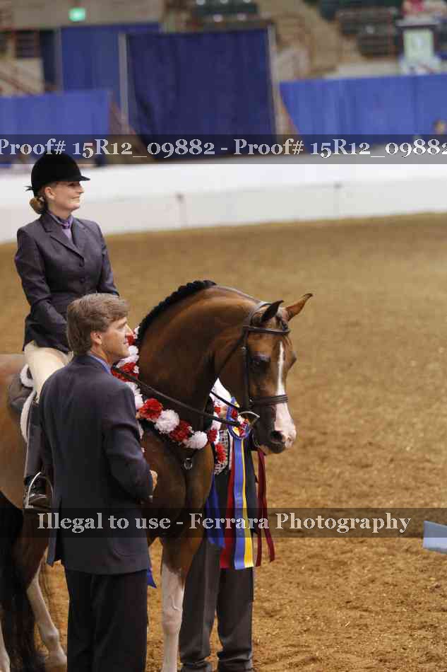 Proof Number 15R12_09882