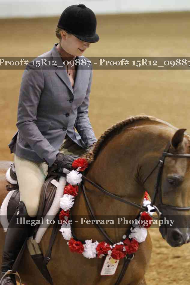 Proof Number 15R12_09887