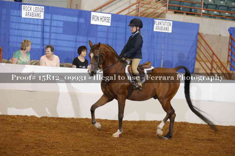Proof Number 15R12_09931