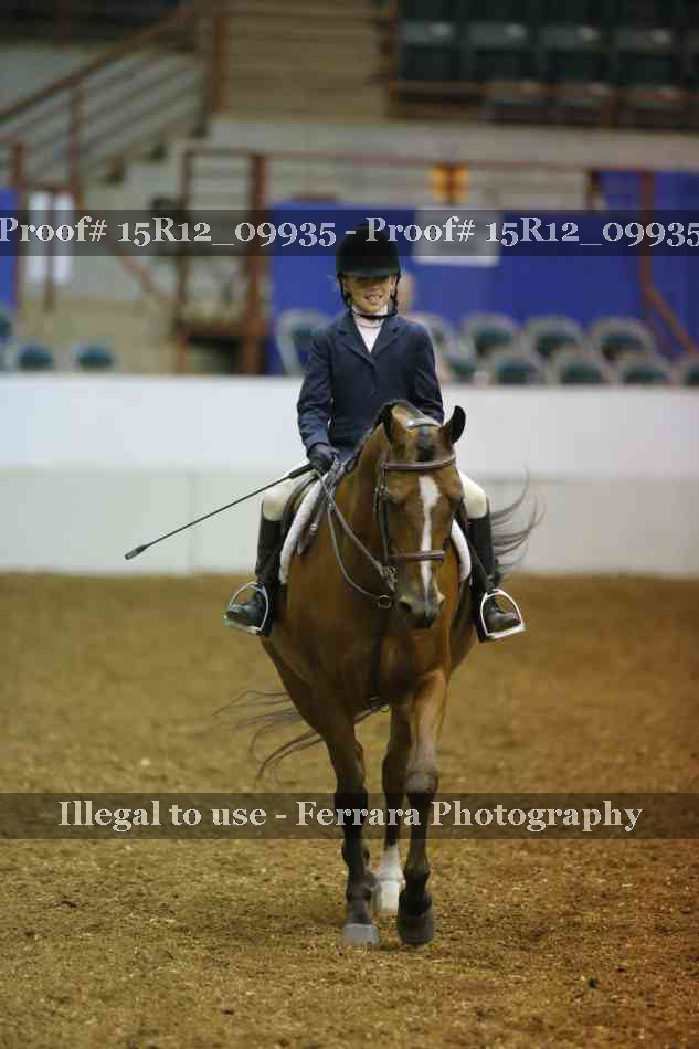 Proof Number 15R12_09935