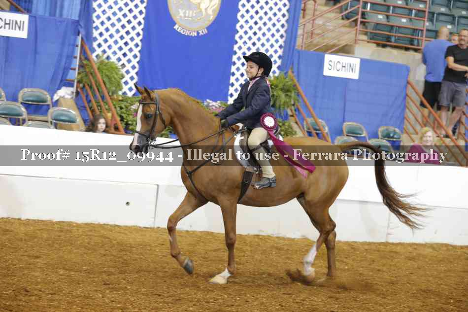 Proof Number 15R12_09944