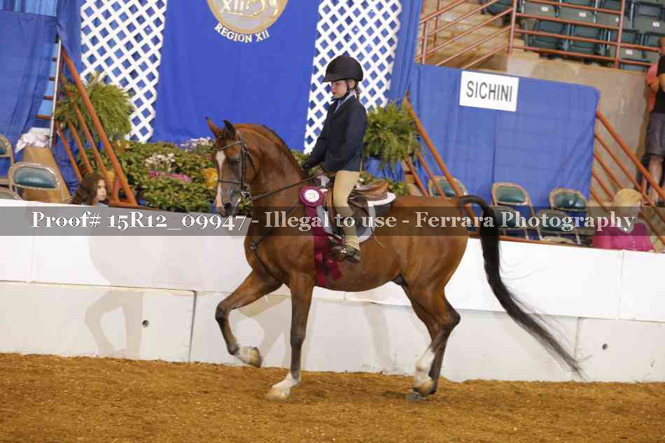 Proof Number 15R12_09947