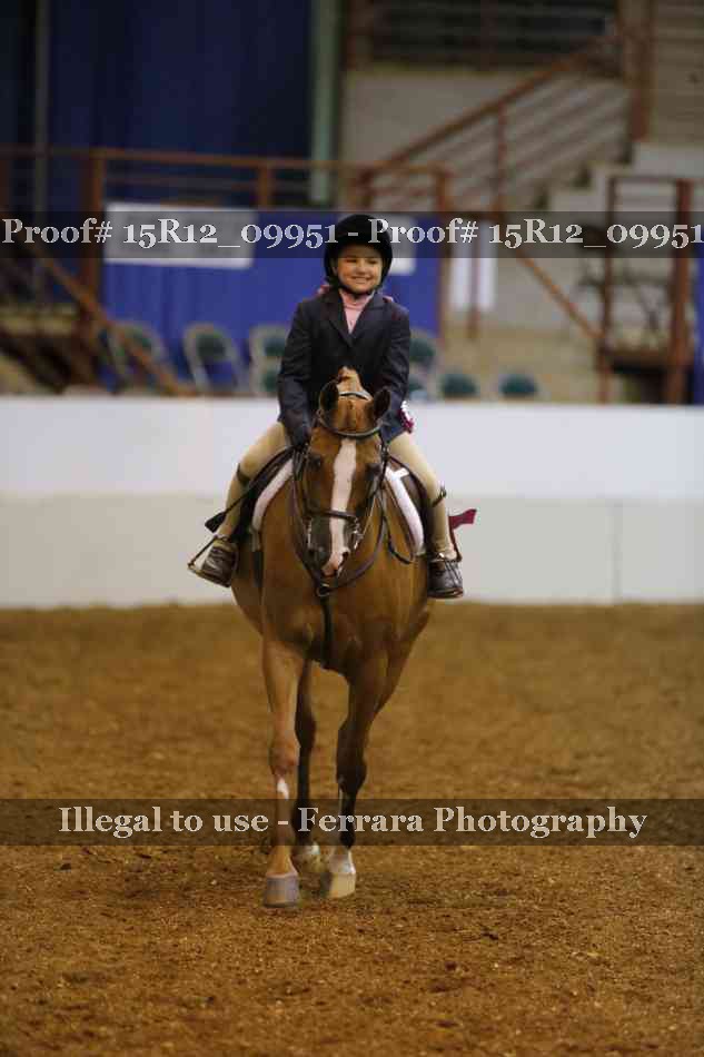 Proof Number 15R12_09951