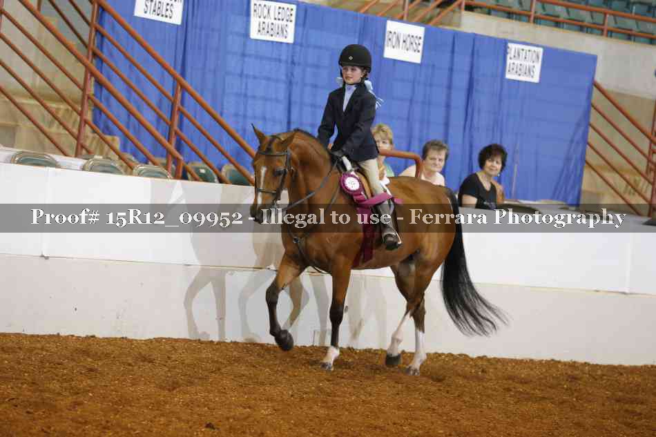 Proof Number 15R12_09952