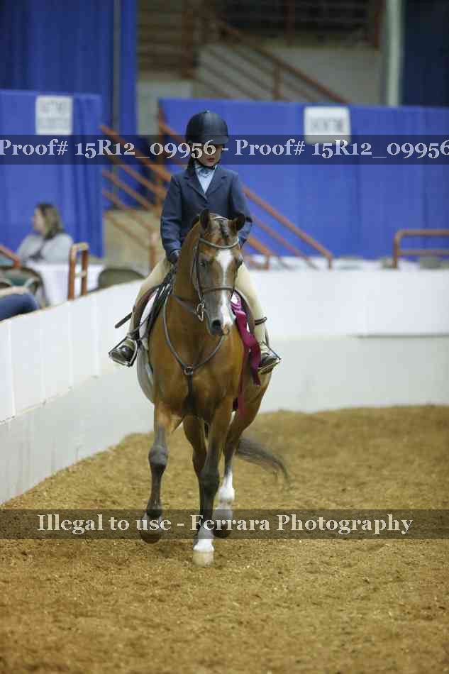 Proof Number 15R12_09956