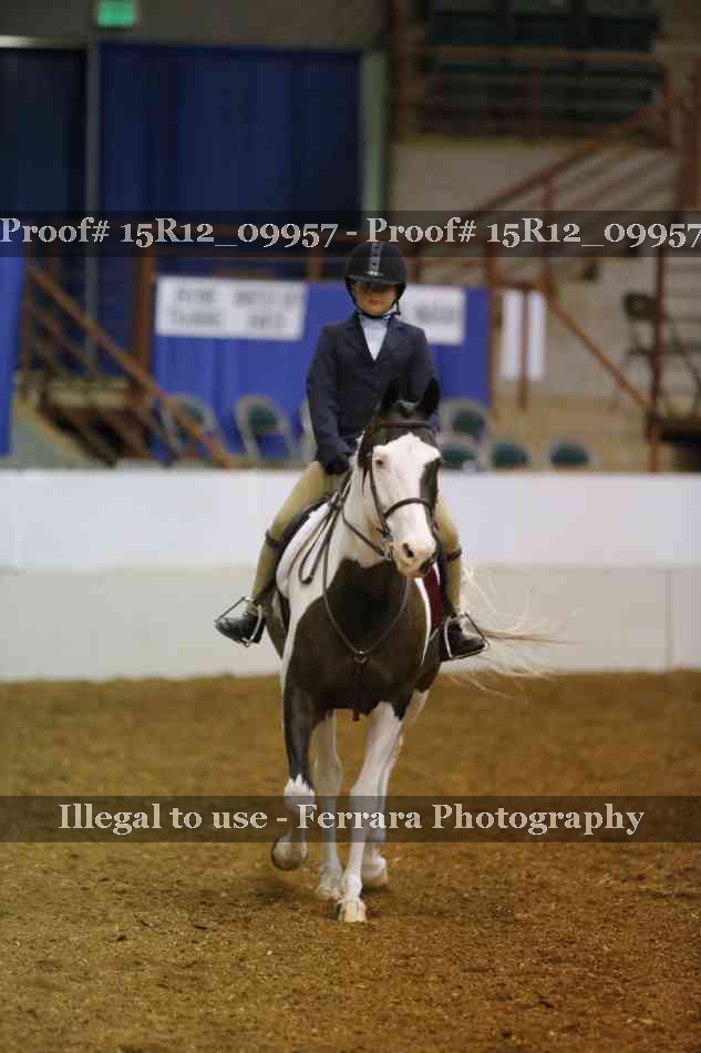 Proof Number 15R12_09957