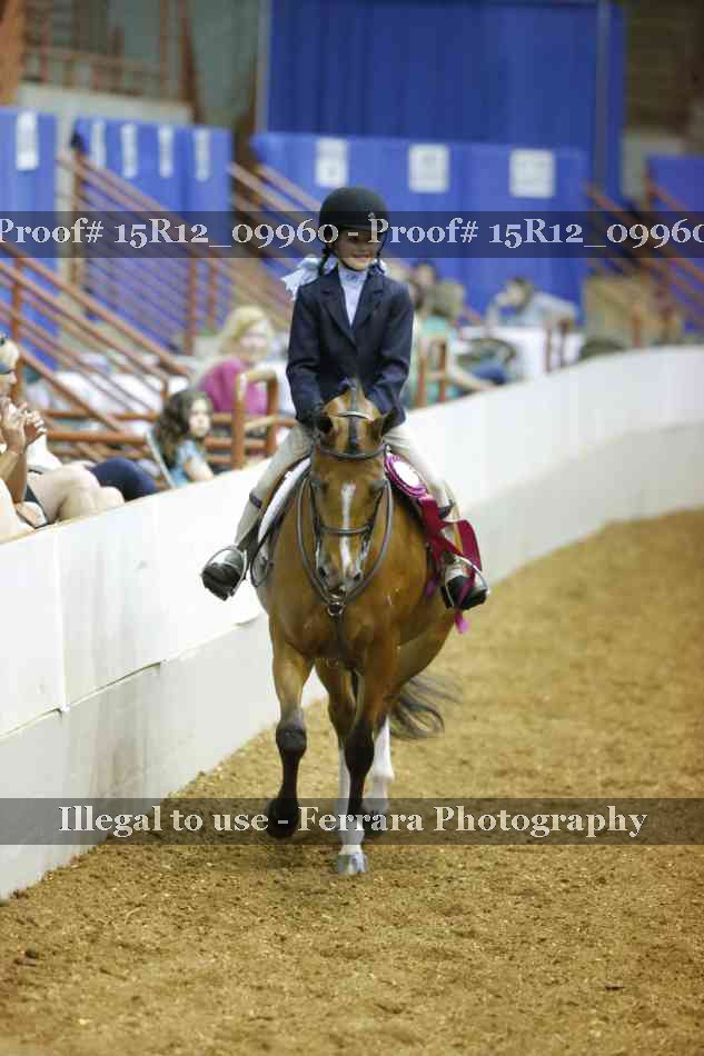 Proof Number 15R12_09960