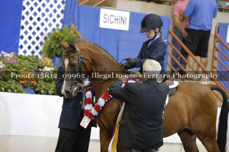 Proof Number 15R12_09962